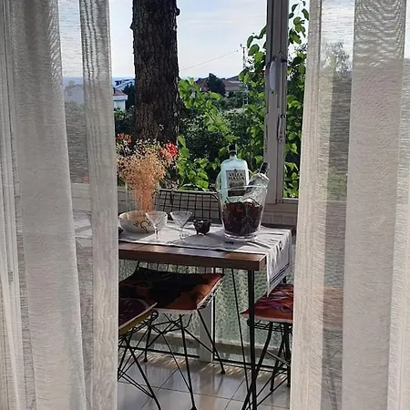 Cozy / Rahatlamanin Zamani Silivri