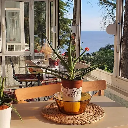 Cozy / Rahatlamanin Zamani * Silivri