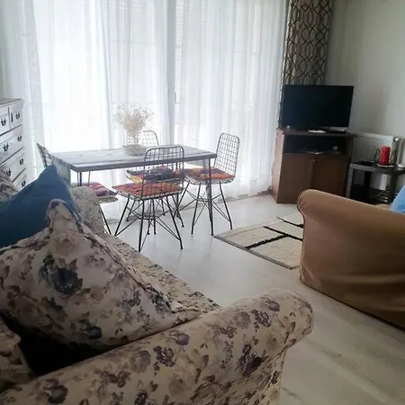 Cozy / Rahatlamanin Zamani *