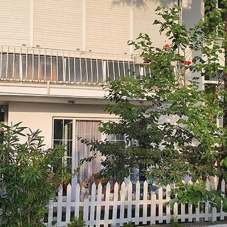 Cozy / Rahatlamanin Zamani * Silivri